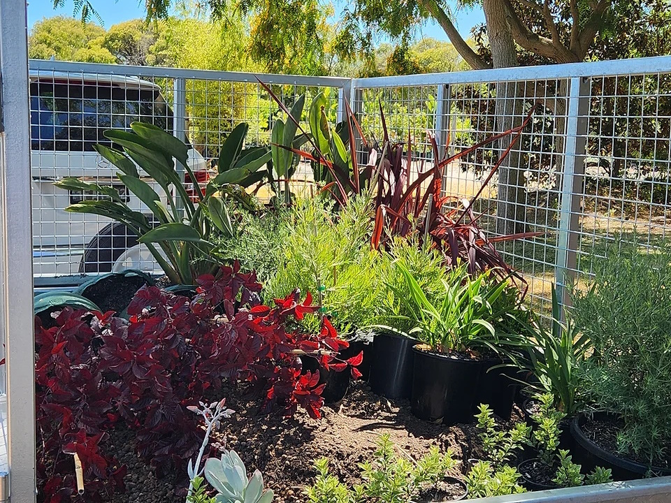 Southern Habitat Nursery