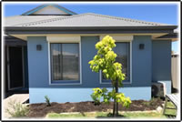 Complete Painting & Decorating