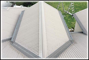 Leaf Free Gutter Guard