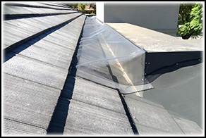 Leaf Free Gutter Guard