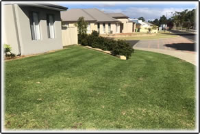 Premier Home Maintenance