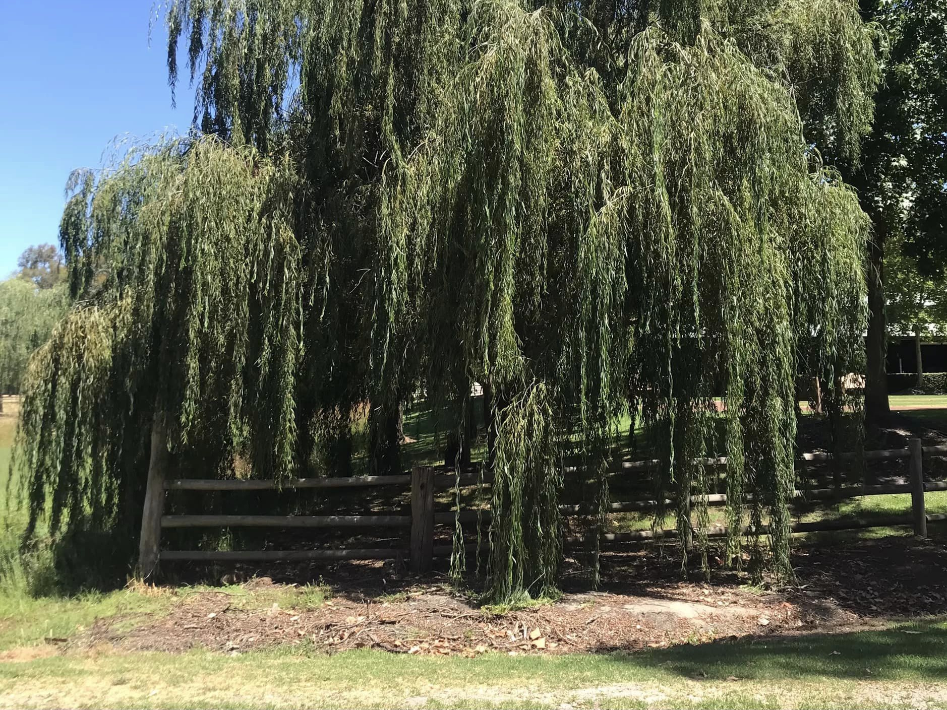 Southern Habitat Nursery