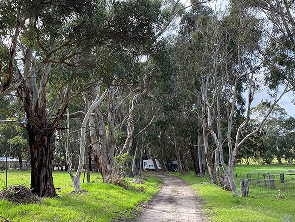 Bushfire Assessment Level (BAL) Supplier
