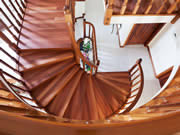Bosch Timber Floors