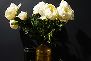 designButton