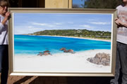 Jenny Taylor Designs