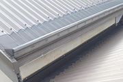 Leaf Free Gutter Guard