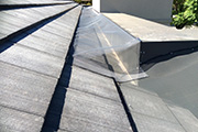 Leaf Free Gutter Guard