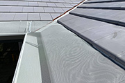 Leaf Free Gutter Guard