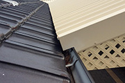 Leaf Free Gutter Guard