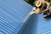 Leaf Free Gutter Guard
