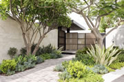 Tim Davies Landscaping
