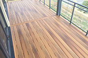Transforming Homes and Gardens