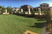 Transforming Homes and Gardens