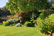 Transforming Homes and Gardens