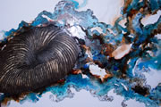 Zibah Artworks