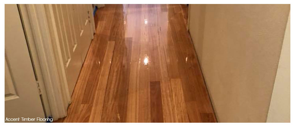 Accent Timber Flooring