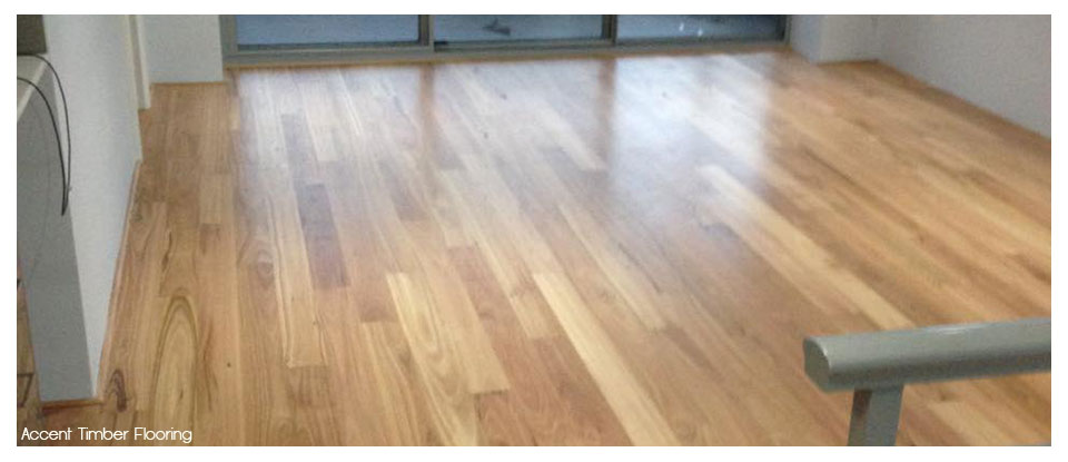 Accent Timber Flooring