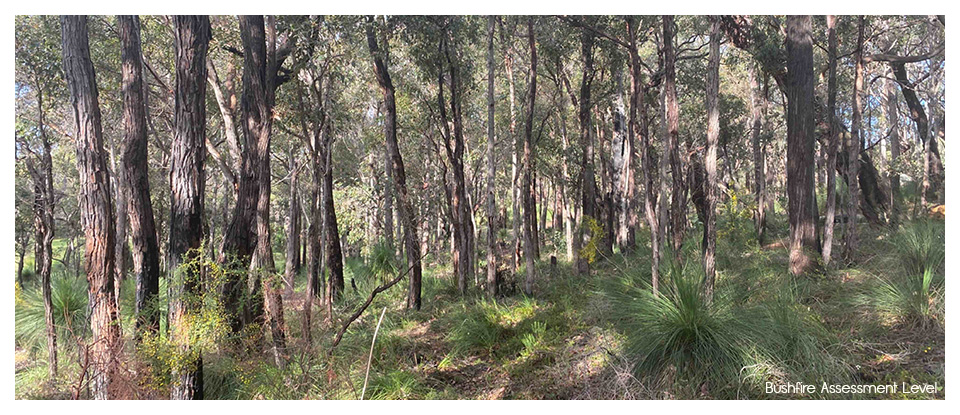 BAL - Bushfire Assessment Level Supplier
