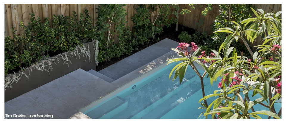 Tim Davies Landscaping
