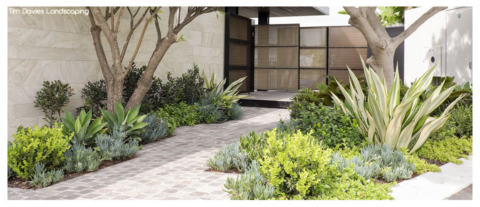 Tim Davies Landscaping