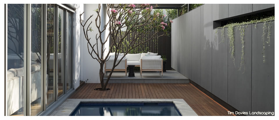 Tim Davies Landscaping