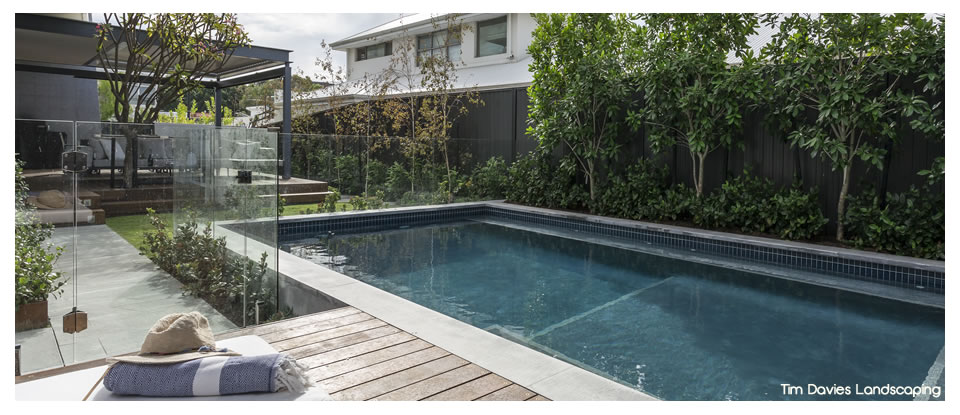 Tim Davies Landscaping